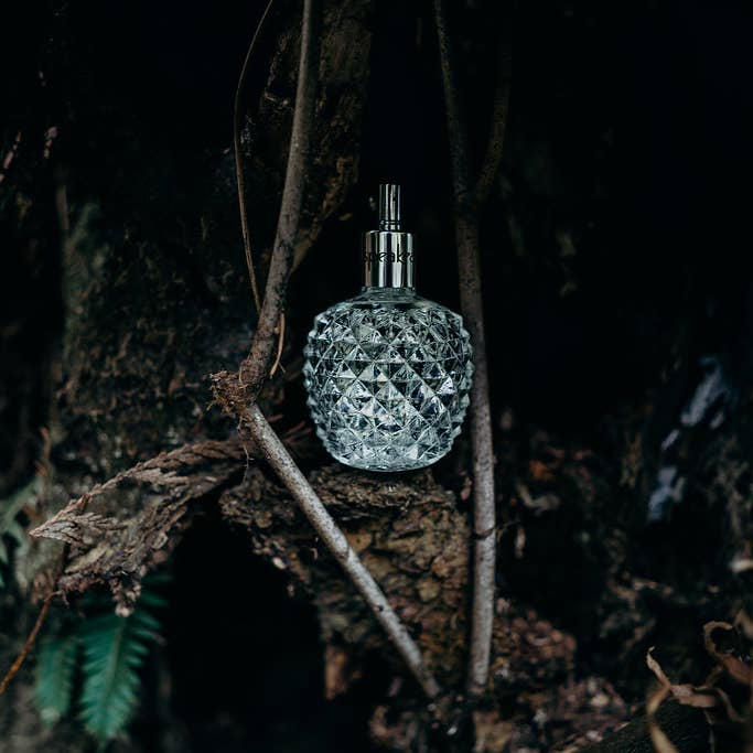 East West Bottlers - Wholesale Perfume/Eau de Toilette - Speakeasy A Lady’s Perfume