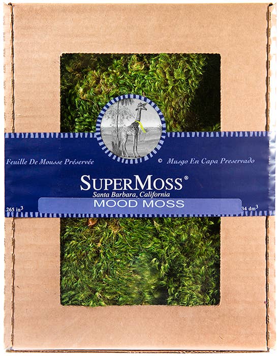 SuperMoss - Vente Plantes artificielles - Mood Moss préservée0