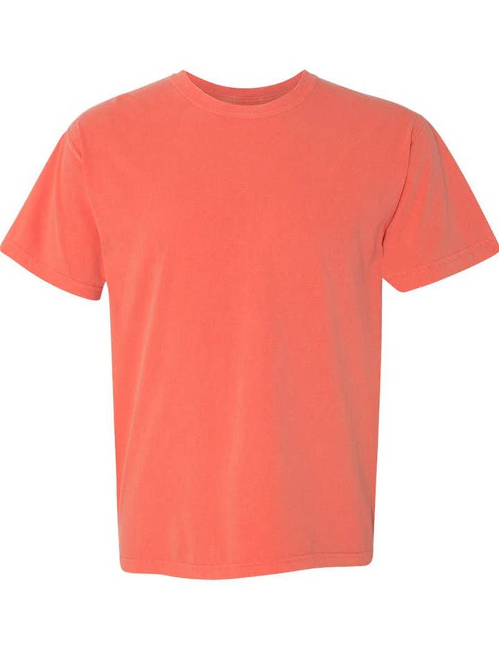Wholesale Accessory Market - Wholesale Screen Printed T-Shirt - Women's - Bubble Tell You About My Jesus Comfort Colors Adult Ring-Spun Cotton Tee