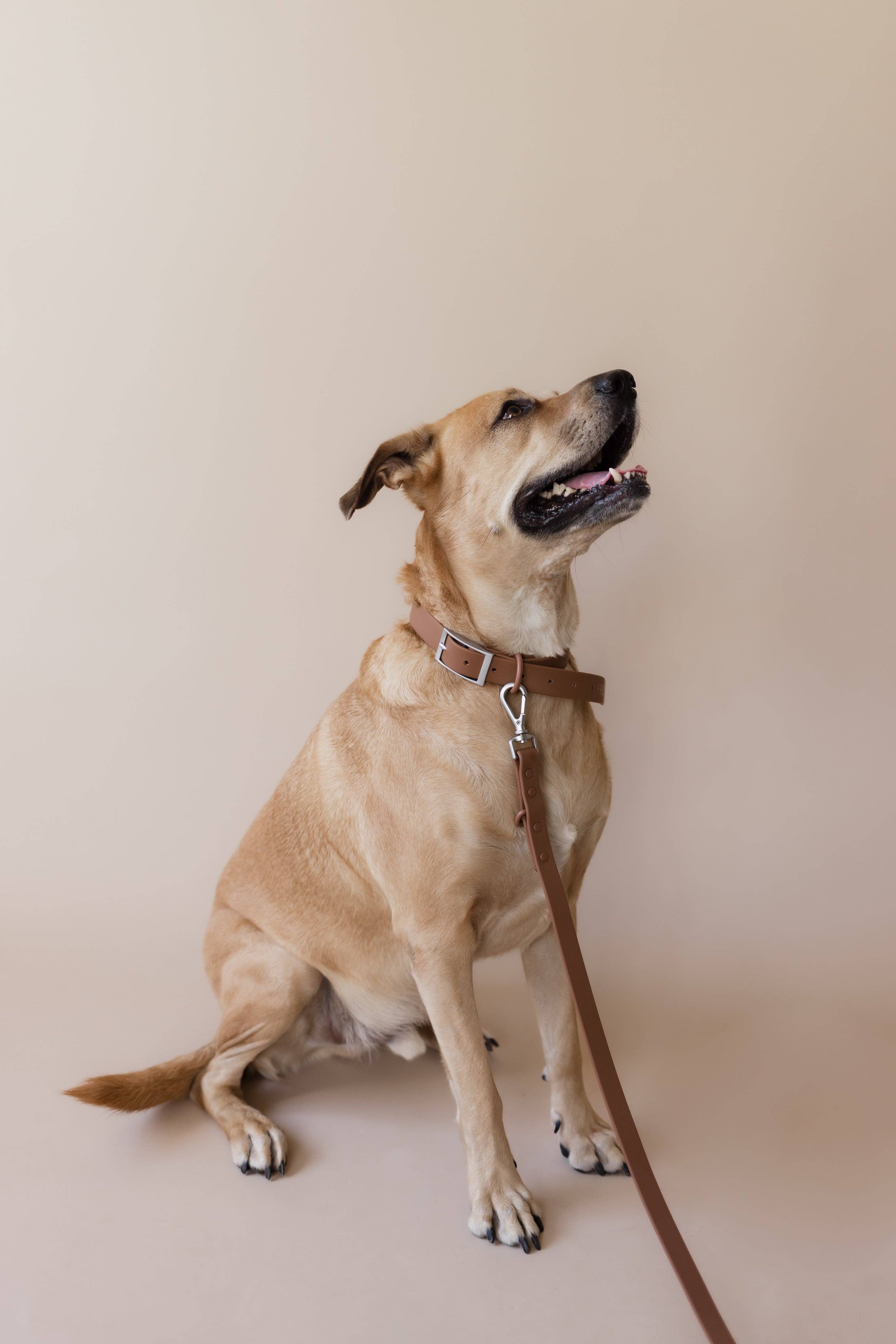 PRILTON - Wholesale Pet Leash - Dog - Leash - Brown