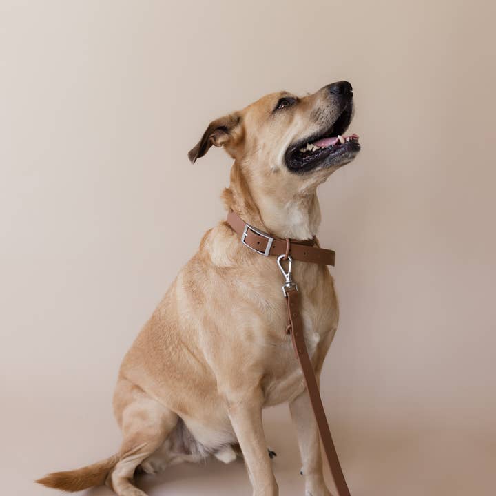 PRILTON - Wholesale Pet Leash - Dog - Leash - Brown0