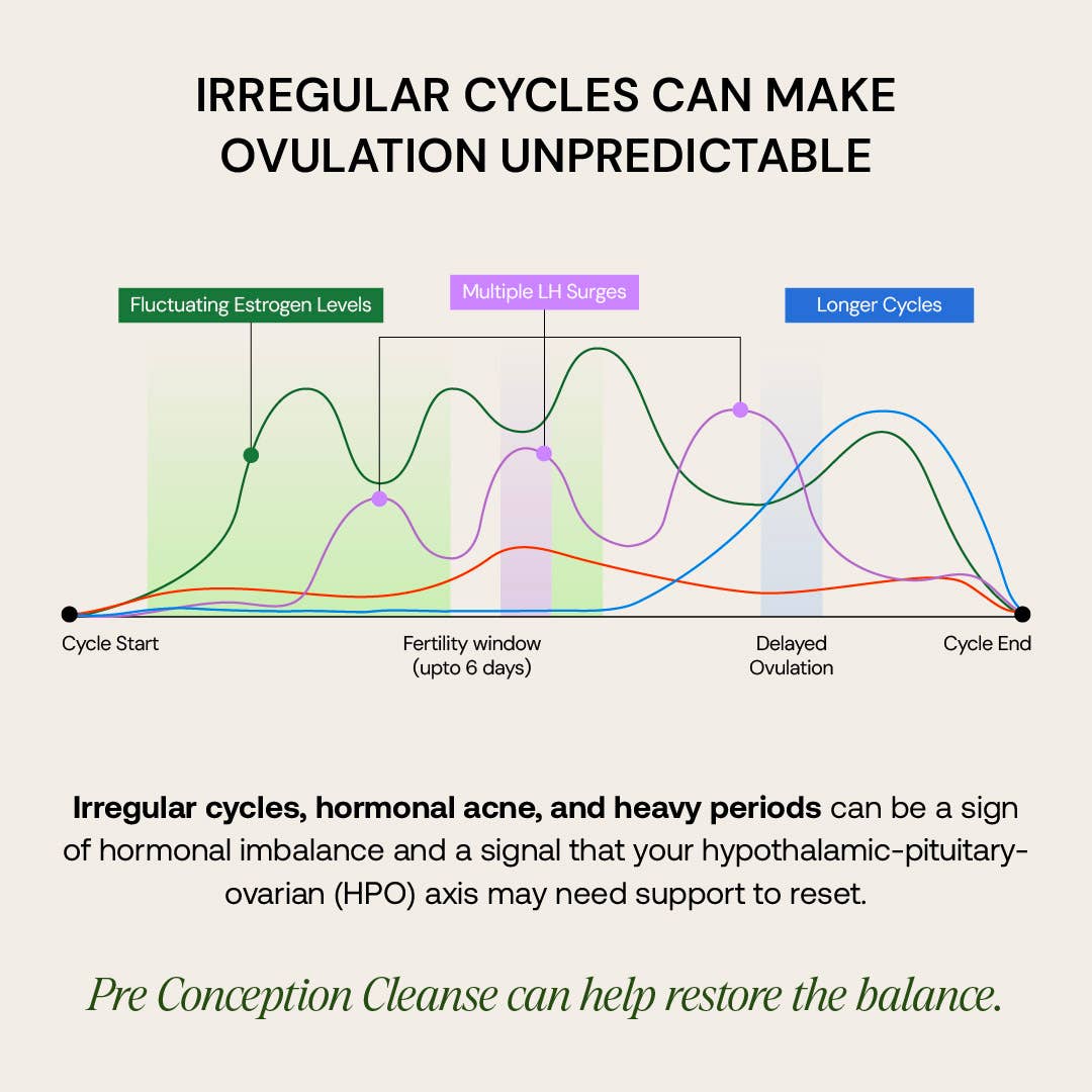 Osh Wellness - Ayurvedic Wellness - Wholesale Oral Supplement/Vitamin - Pre-Conception Cleanse | Uterus Detox & Ovarian Support 🌸4