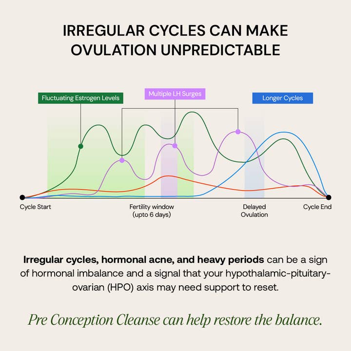 Osh Wellness - Ayurvedic Wellness - Wholesale Oral Supplement/Vitamin - Pre-Conception Cleanse | Uterus Detox & Ovarian Support 🌸4