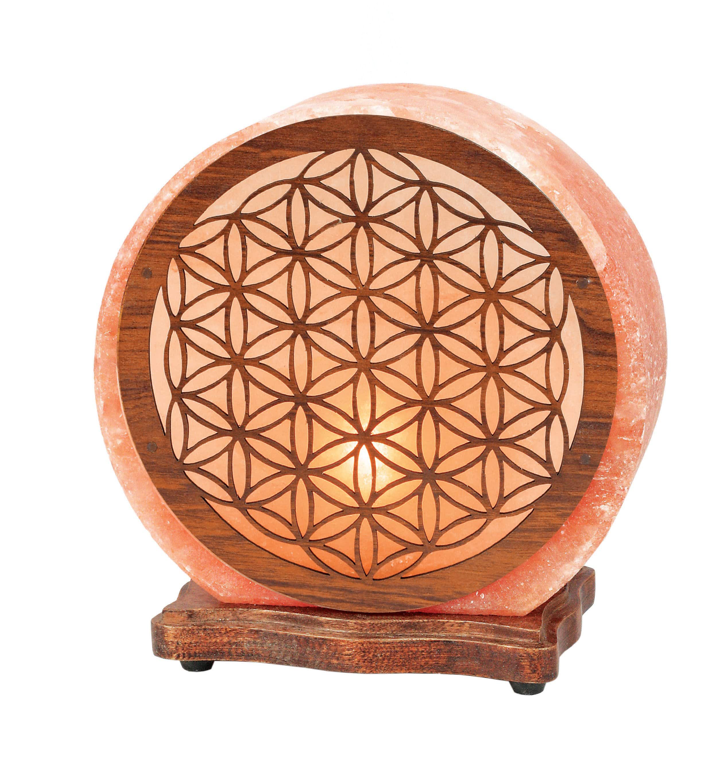 Rock Paradise - Wholesale Salt Lamp - Crystal Himalayan Salt Lamp - Large (RK2)10