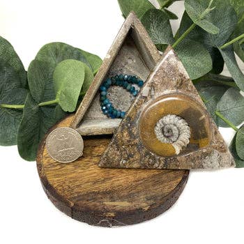 The Crystal Tabby - Wholesale Jewelry Box/Organizer - Ammonite Triangle Jewelry Box