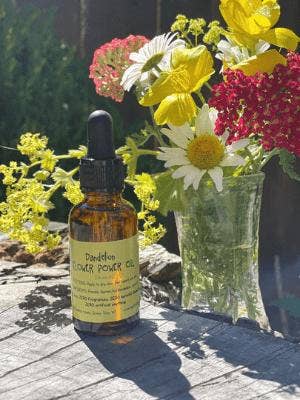 Dandelion Flower Power Oil for wholesale by Healthy Hippie