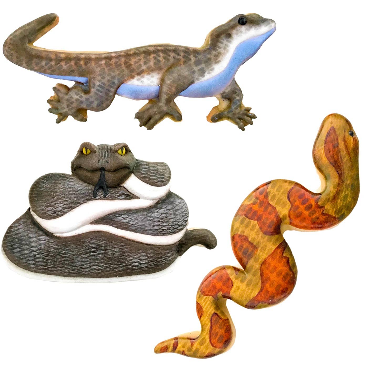 Summitbaking - Vente Emporte-pièce - Palm Pets Ensemble d'emporte-pièces Reptile8