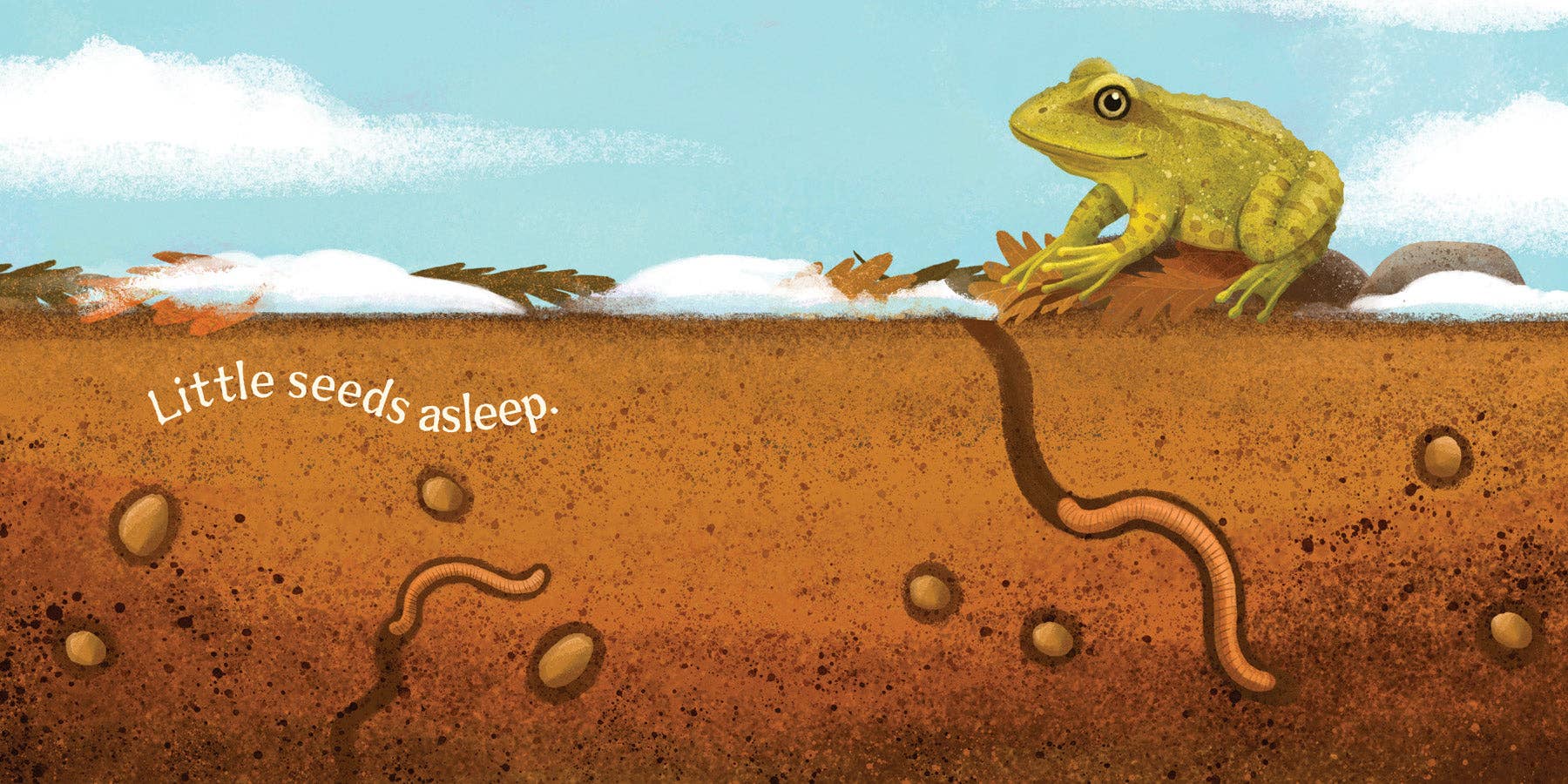 Amicus Publishing - Wholesale Baby & Toddler Book (0-2) - Wildflowers Grow1