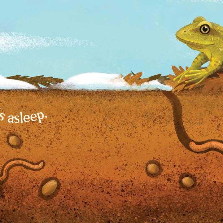 Amicus Publishing - Wholesale Baby & Toddler Book (0-2) - Wildflowers Grow1