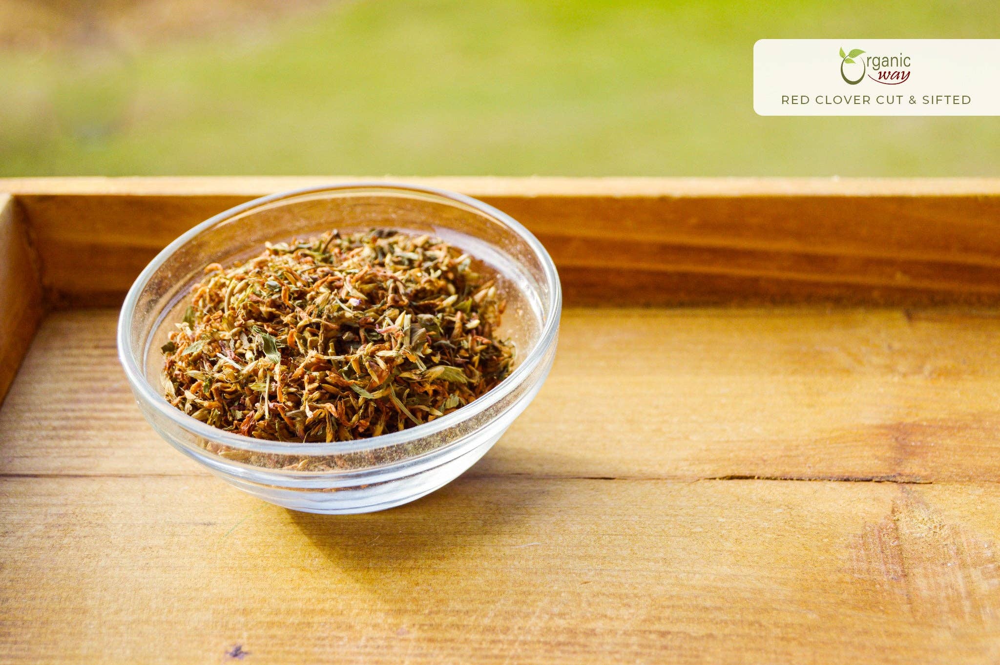 Organic Way LLC - Vendita all'ingrosso Erbe aromatiche - Fiori di Trifoglio Rosso Tagliati e Setacciati (Trifolium Pratense) Tisana | Raccolta Selvatica Europea | Certificato Kosher | Certificato USDA | Origine - Albania2