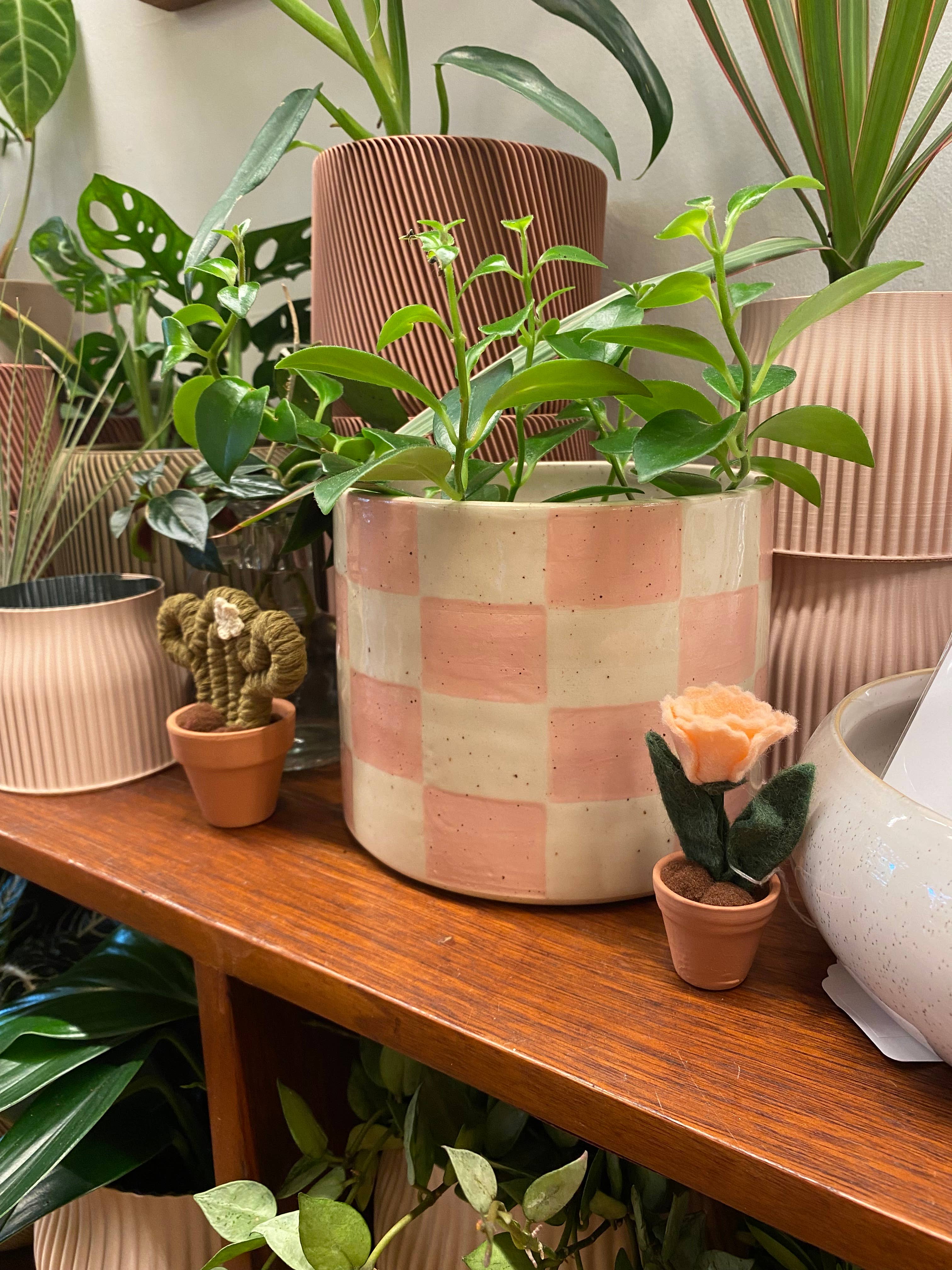 ForgetBKnot - Wholesale Decorative Tabletop Object - Macrame Cactus Forever Plant (Mini)5