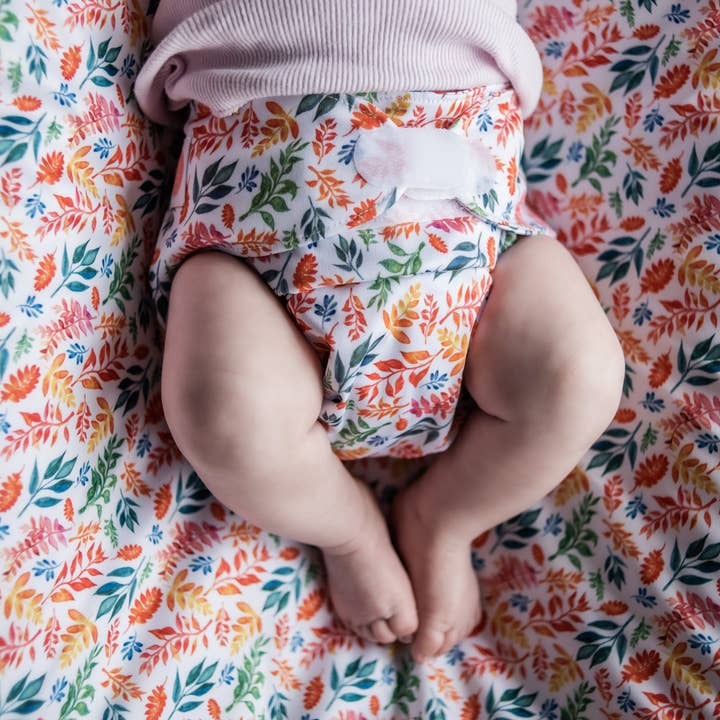 Ultimata avtorkningsbara tygblöjan V2.0 | Fyra årstider för wholesale av Monarch