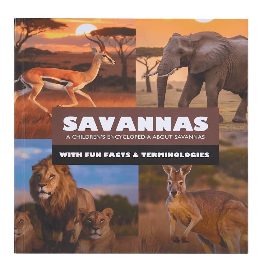 Abracadabra Books - Wholesale Early Reader Book (6-8) - Mini Explorers: Hardcover Box Set8