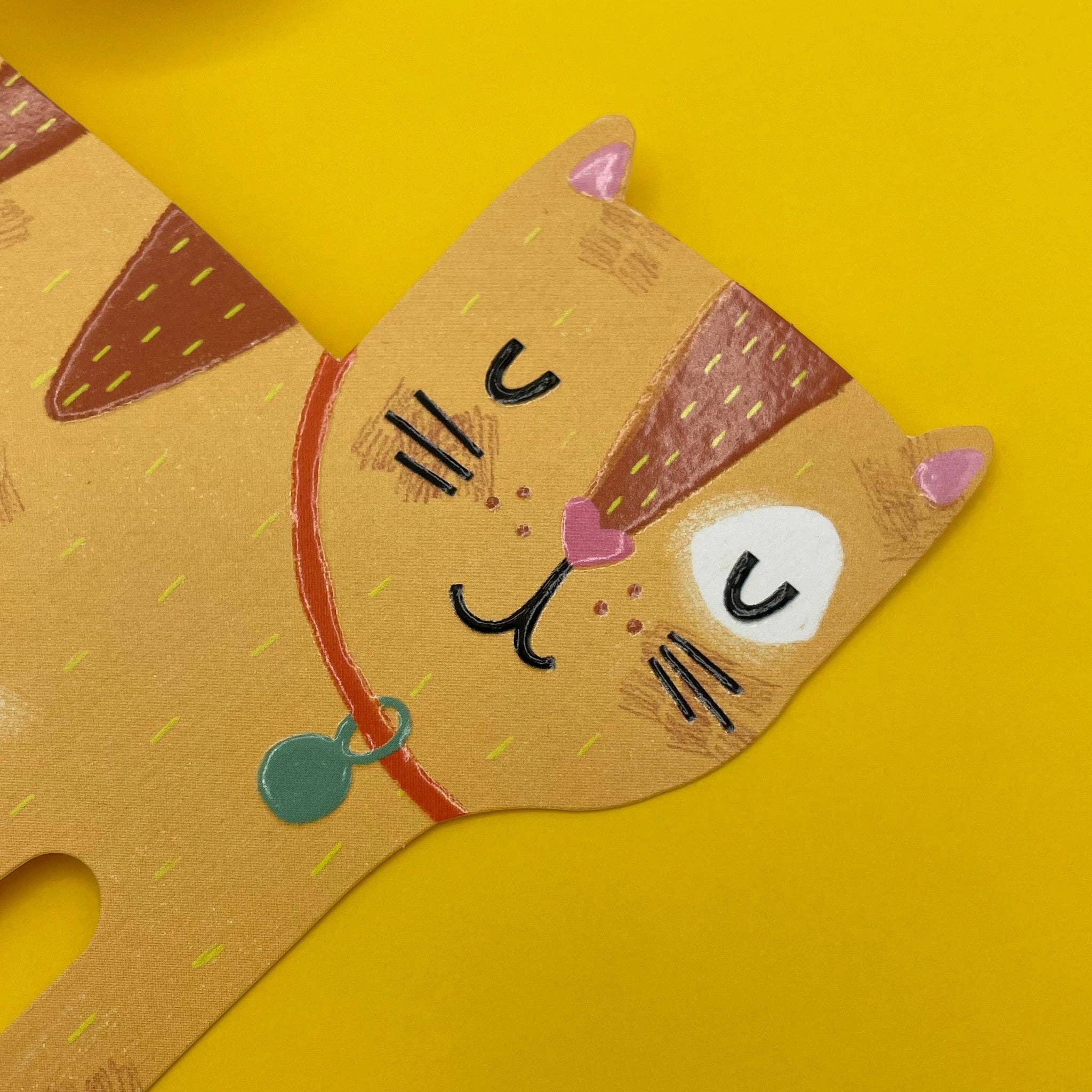 Raspberry Blossom – wholesale Everyday greeting card – Ginger Cat (PAW07)1