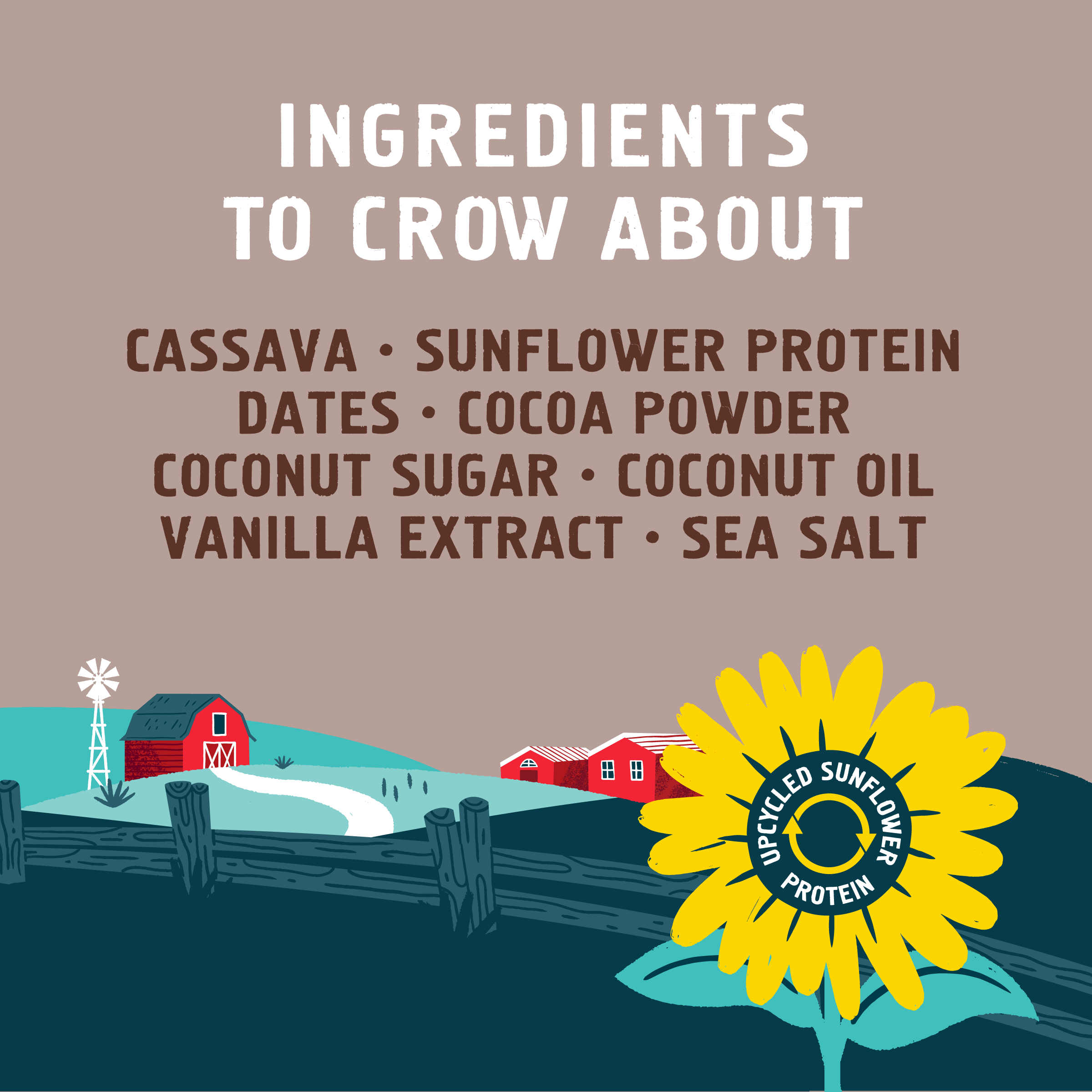 Seven Sundays - Wholesale Breakfast Cereal - Real Cocoa Grain Free Cereal3