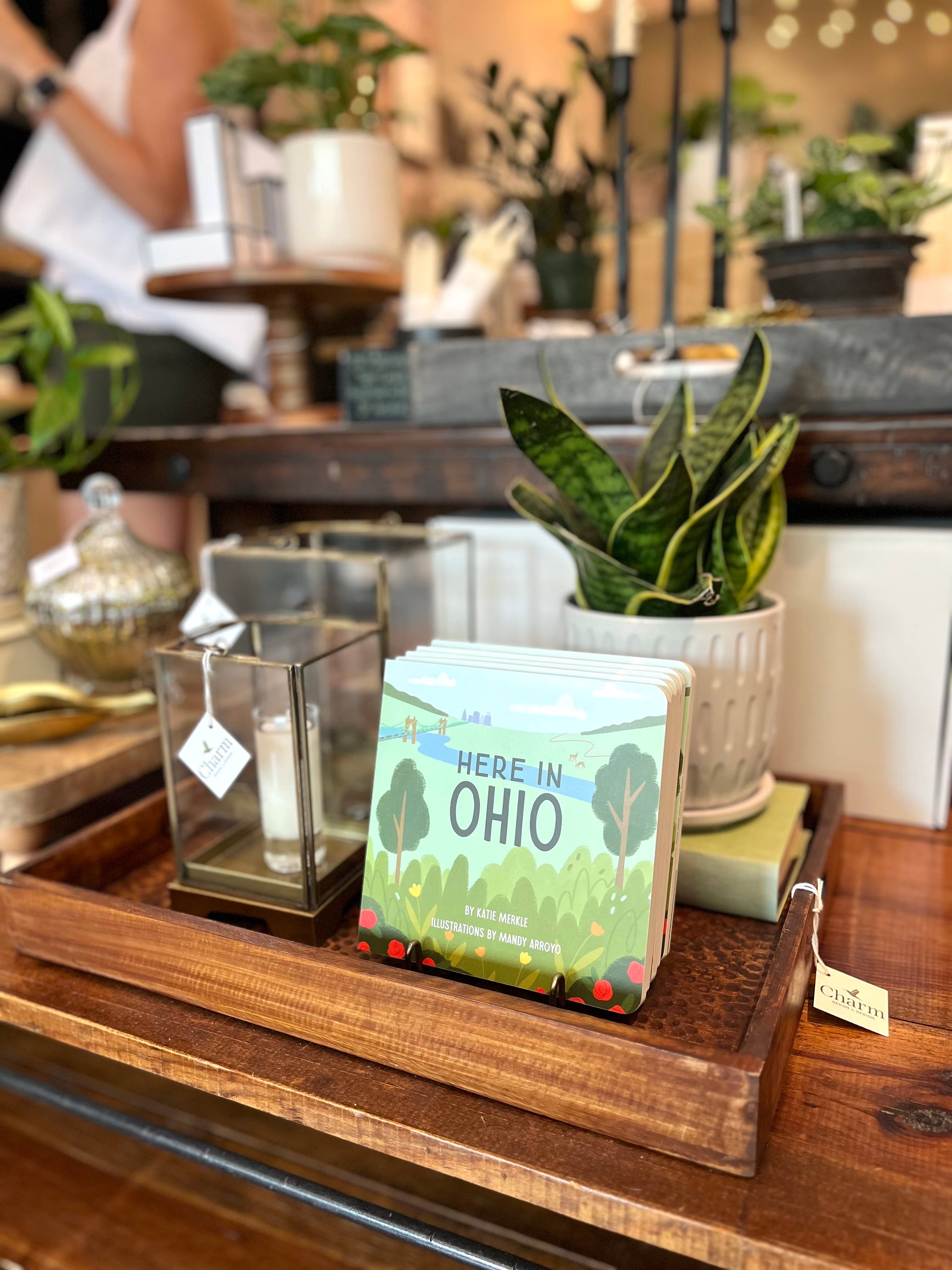 Piccolo Press - Wholesale Baby & Toddler Book (0-2) - Here in Ohio Board Book6