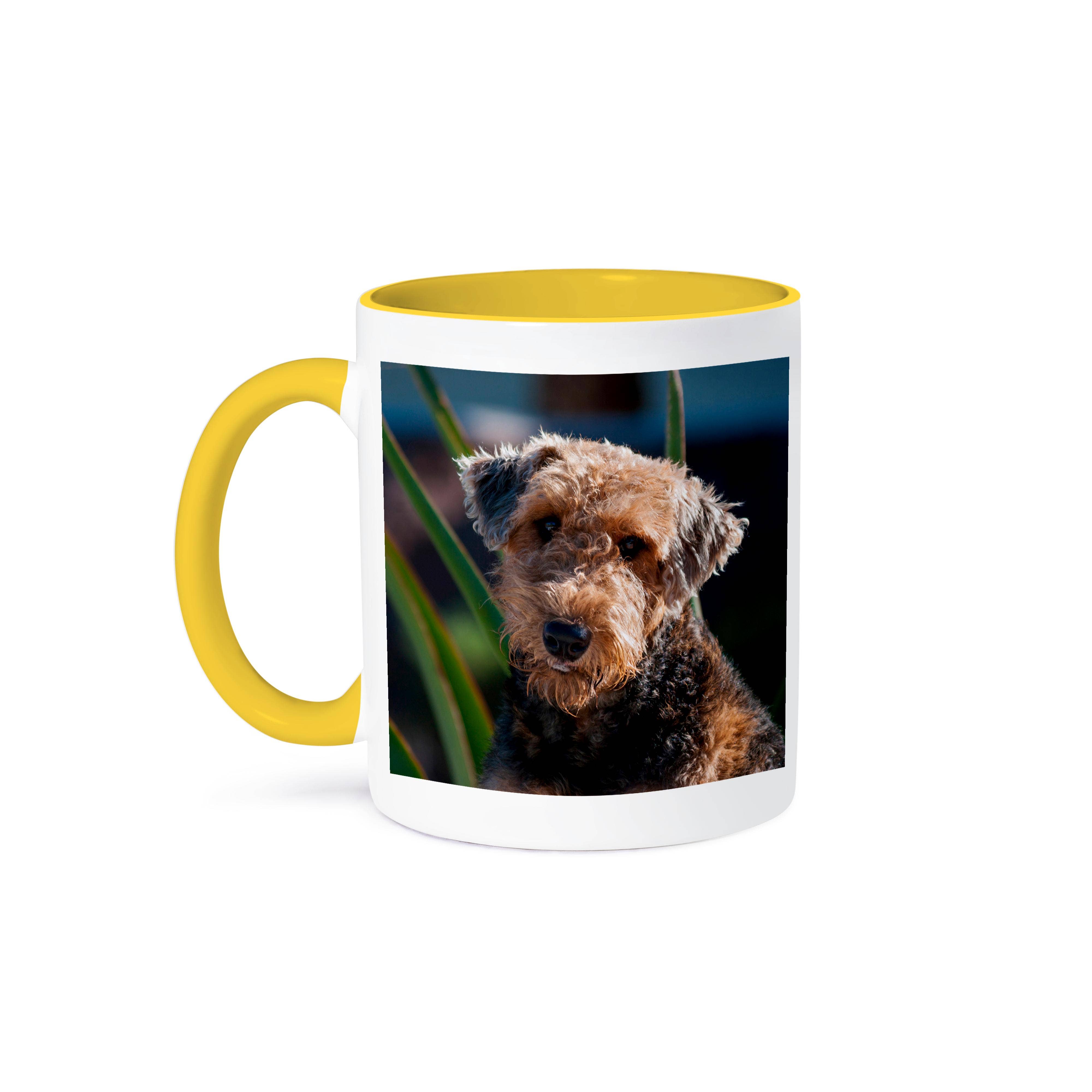 3dRose – Großhandel Kaffeebecher – 3dRose, Airedale Terrier, Tasse0