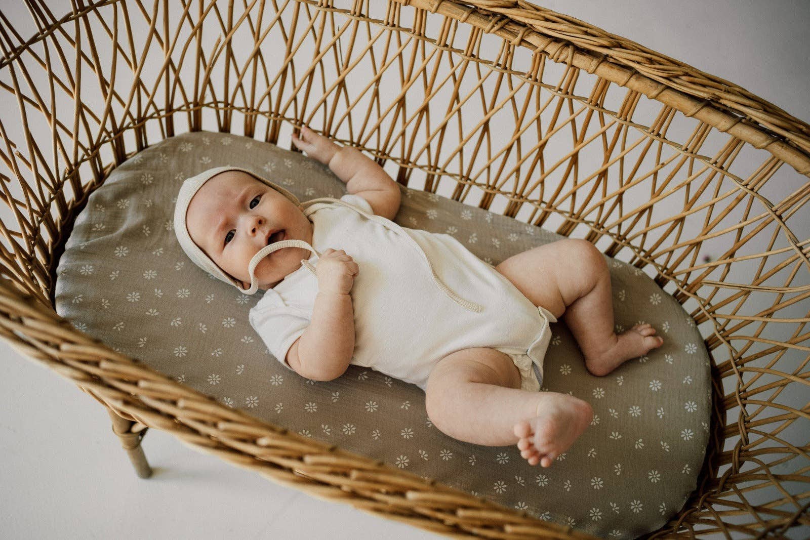 TISU - Wholesale Cot/Crib Sheets - TISU crib sheet, Beige Daisy3