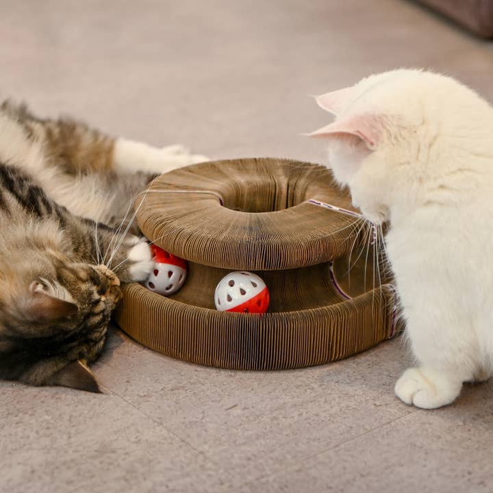 Olchi - Wholesale Pet Toy - Cat - WIGGLEE MAGIC BALL TRACK (CAYA-TO9521)