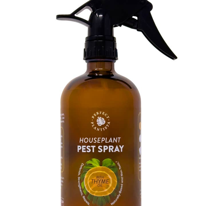 Perfect Plantista - Wholesale Insect Repellent - Natural + Non-Toxic Houseplant Pest Spray6