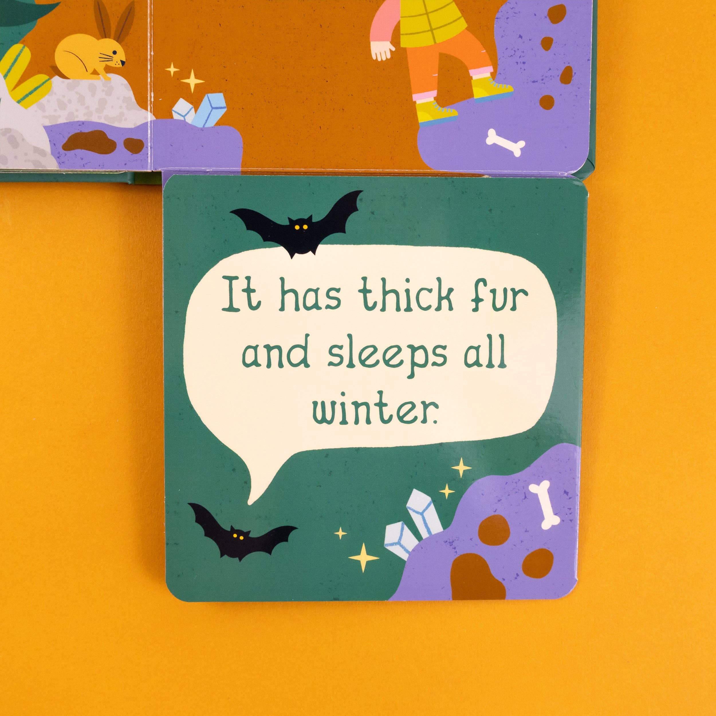 Robert Frederick Ltd – wholesale Baby and toddler book (0–2) – Who’s In The Wild – Fold-Out Flaps Board Book1