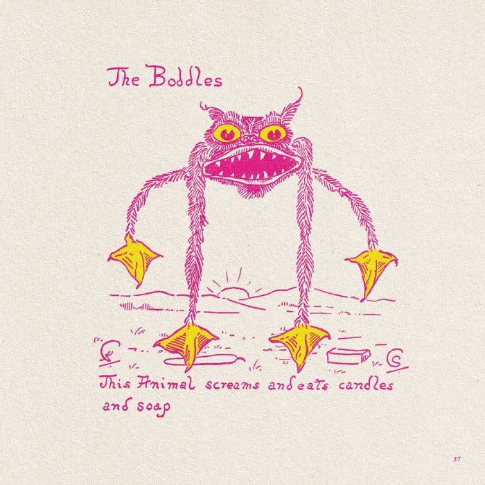 50 Watts - Wholesale Early Reader Book (6-8) - Animal Land Where There Are No People - Sybil and Katharine Corbet3