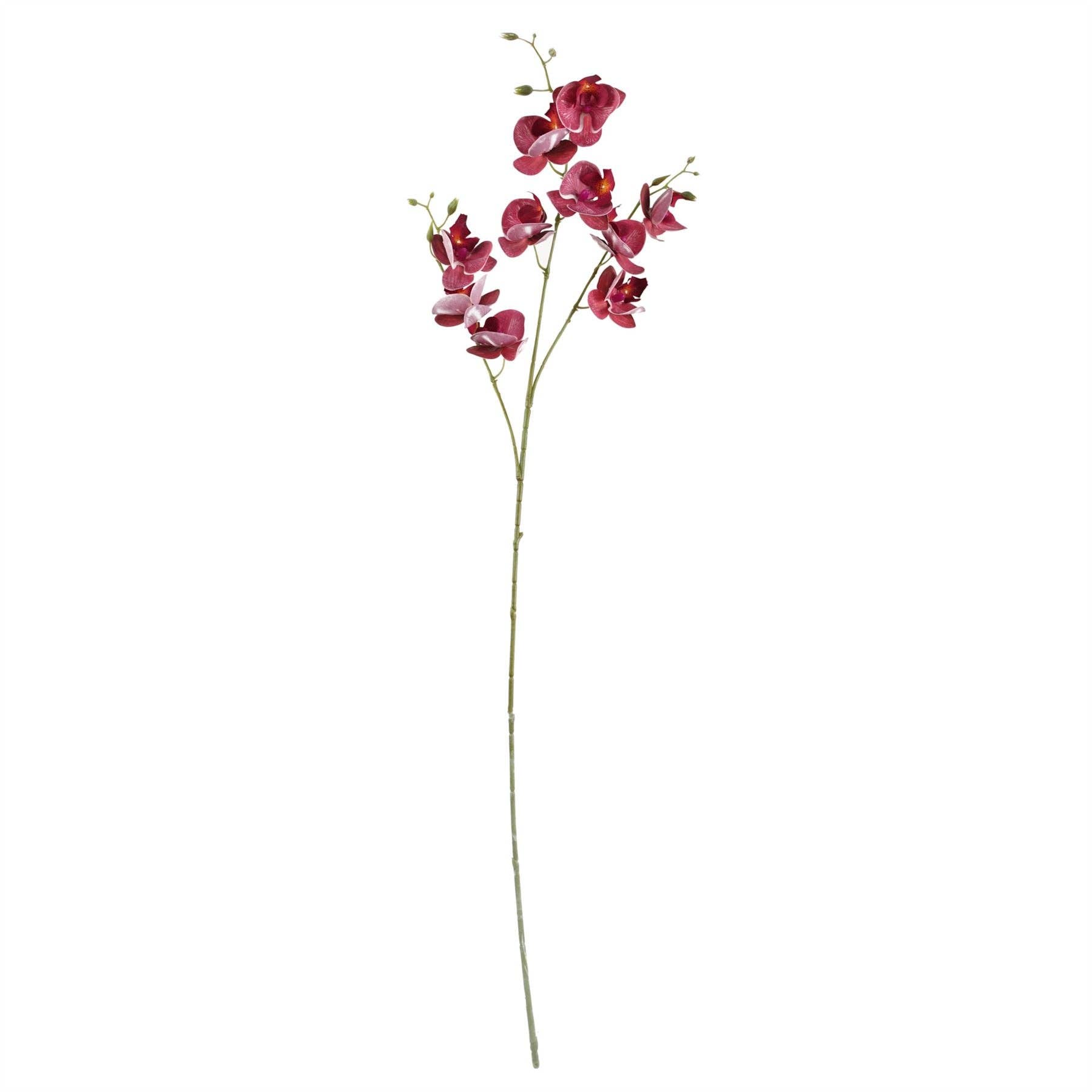 Leaf Design UK LTD - Wholesale Artificial Flowers - Pack 6x Artificial Flowers Dark Pink Mini Orchid Stem 80cm4