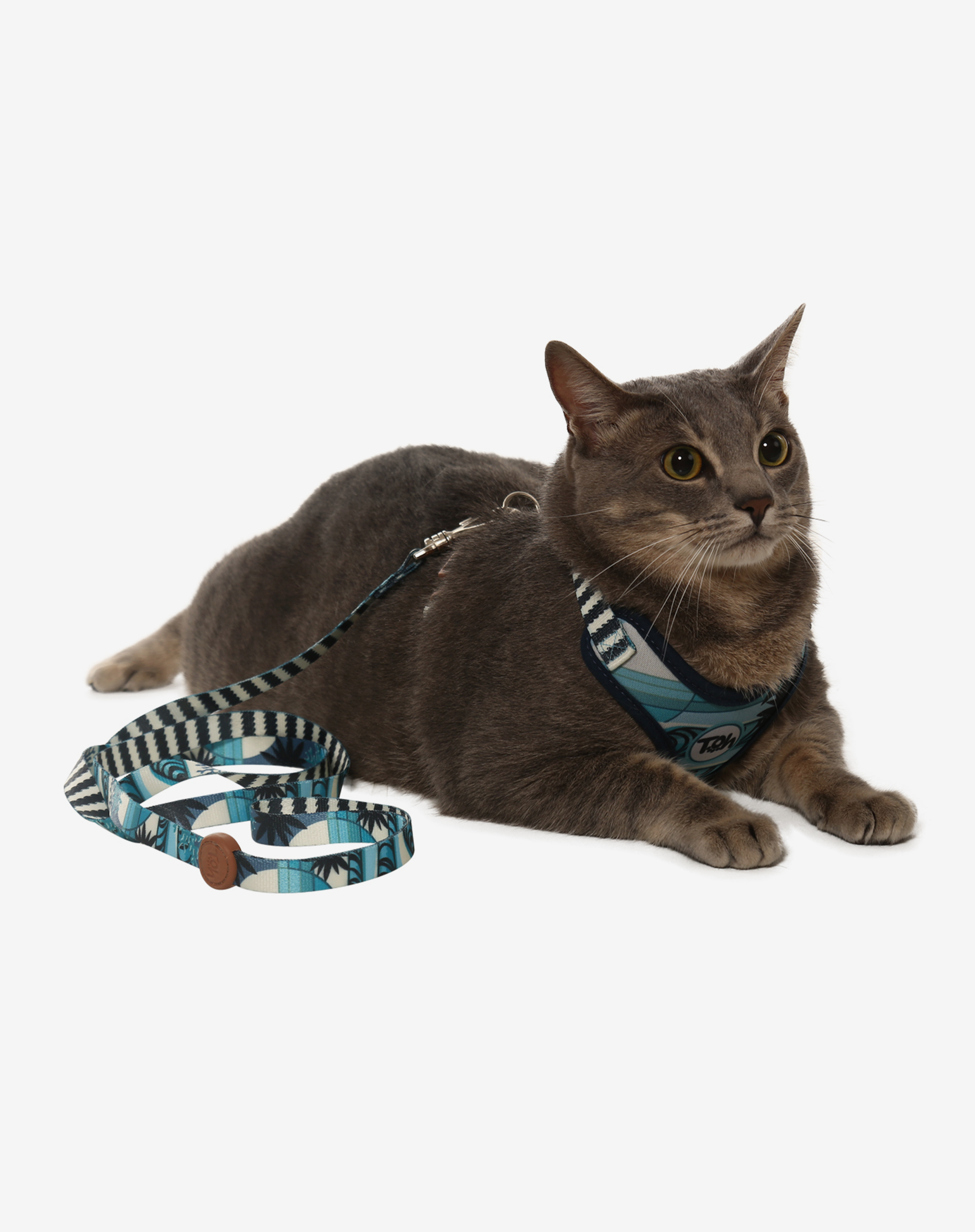 Toh - Wholesale Pet Harness - Cat - Cat H-Harness Comfort + Leash Set Noronha1