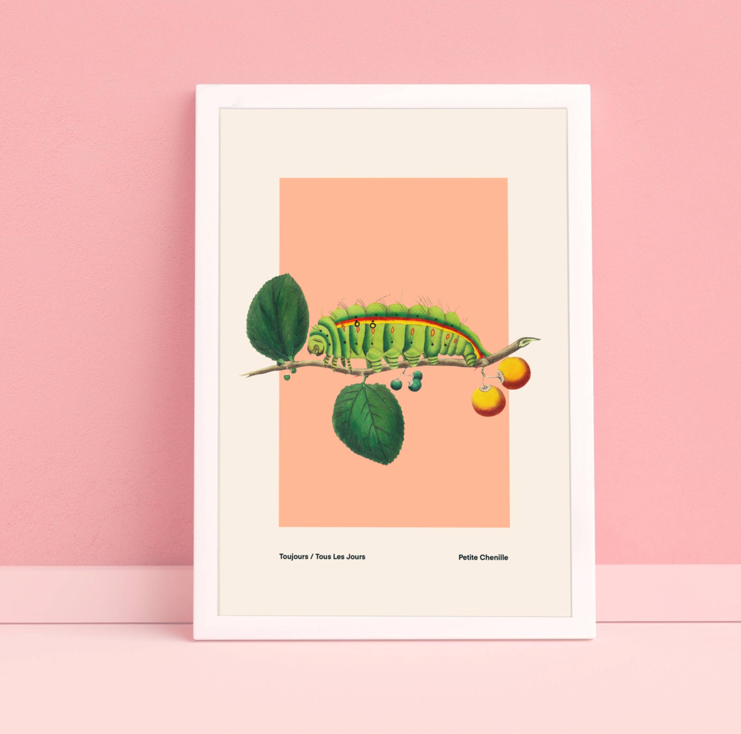 Kate Fox Design – wholesale Art print – Bug Art Print, Green, Blue, Red., Vintage, Insect Art4