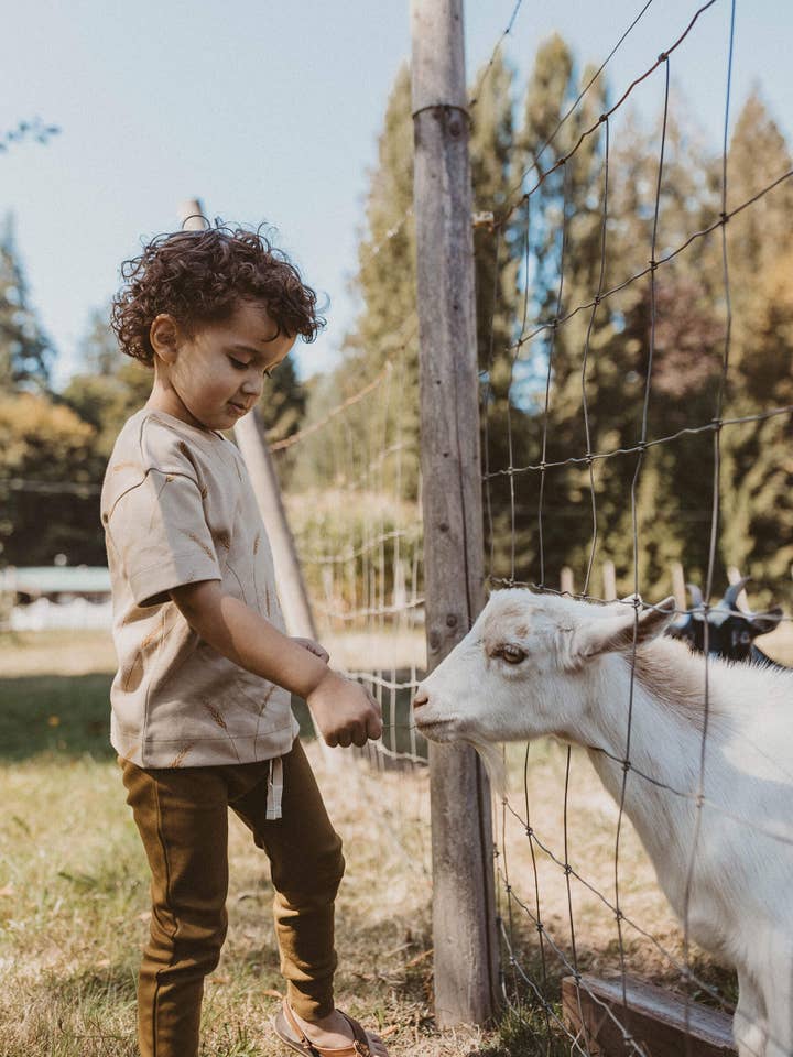 Short-sleeve tee - Wheat | Organic for wholesale on Faire2