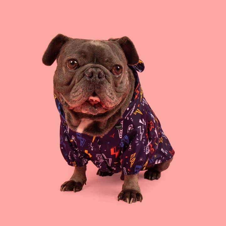 Big and Little Dogs - Wholesale Pet Raincoat - Dog - DOG RAINCOAT: Lightning Storm5