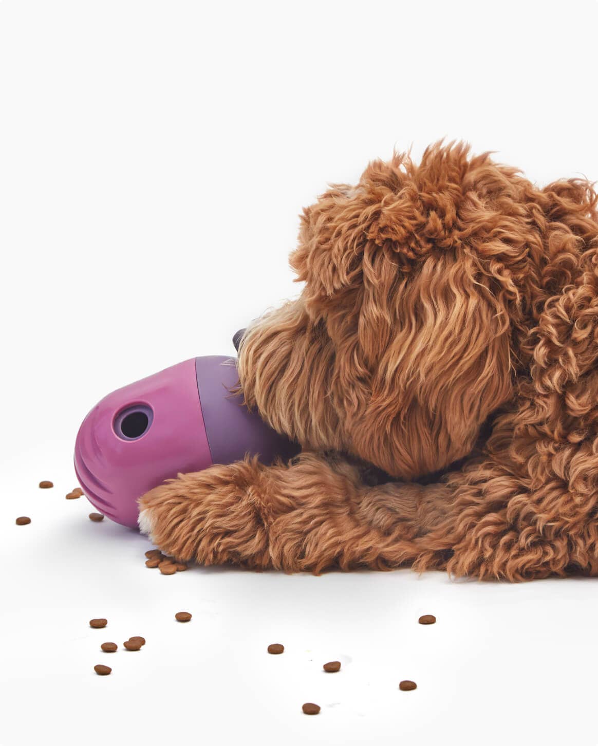 Fable Pets - Wholesale Pet Bowl - Cat/Dog - The Game™ Puzzle Feeder21