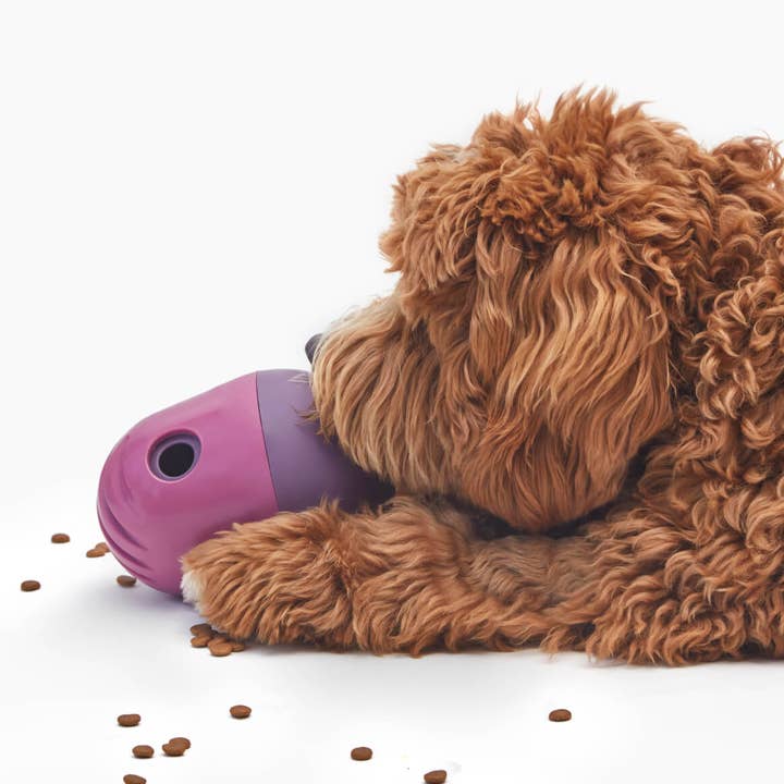 Fable Pets - Wholesale Pet Bowl - Cat/Dog - The Game™ Puzzle Feeder21