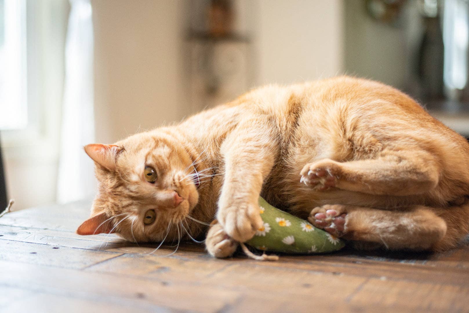 Planet B, Inc. - Wholesale Pet Toy - Cat - Scrap Fabric Cat Toys7