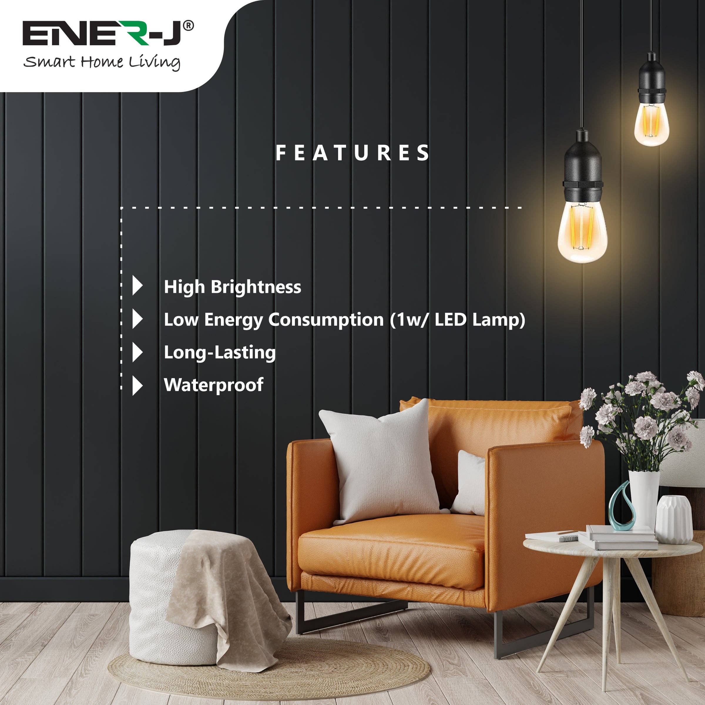 ENER-J - Vente Guirlandes lumineuses - Kit de guirlandes lumineuses à filament LED de 100 pieds11