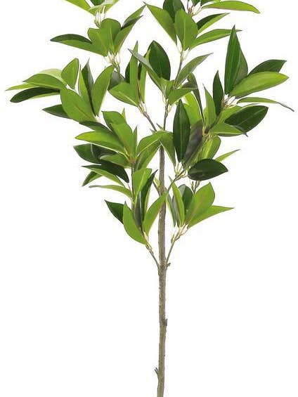 Myrtle Leaf Branch X6, 28", Green for wholesale by Select Artificials, Inc.