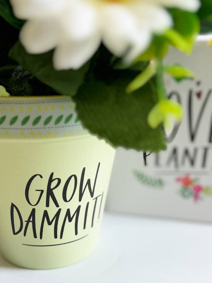 Pot024 | Vokse For Pokker! | £3,32 pr. stk. (af 2 stykker) for engroshandel hos WPL Gifts