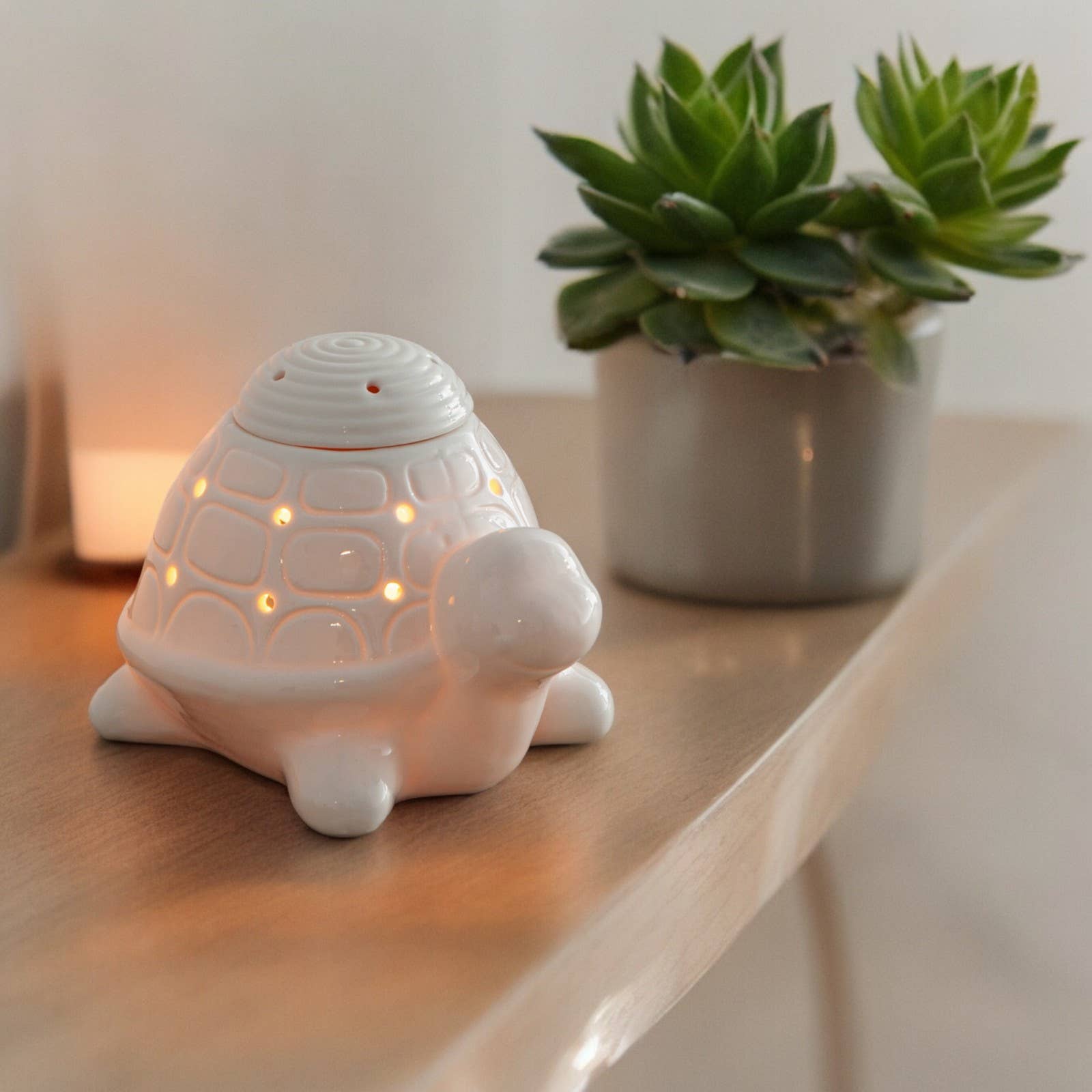 Zen'Arôme - Wholesale Oil Warmer - Franklin the Turtle White Ceramic Incense Burner9