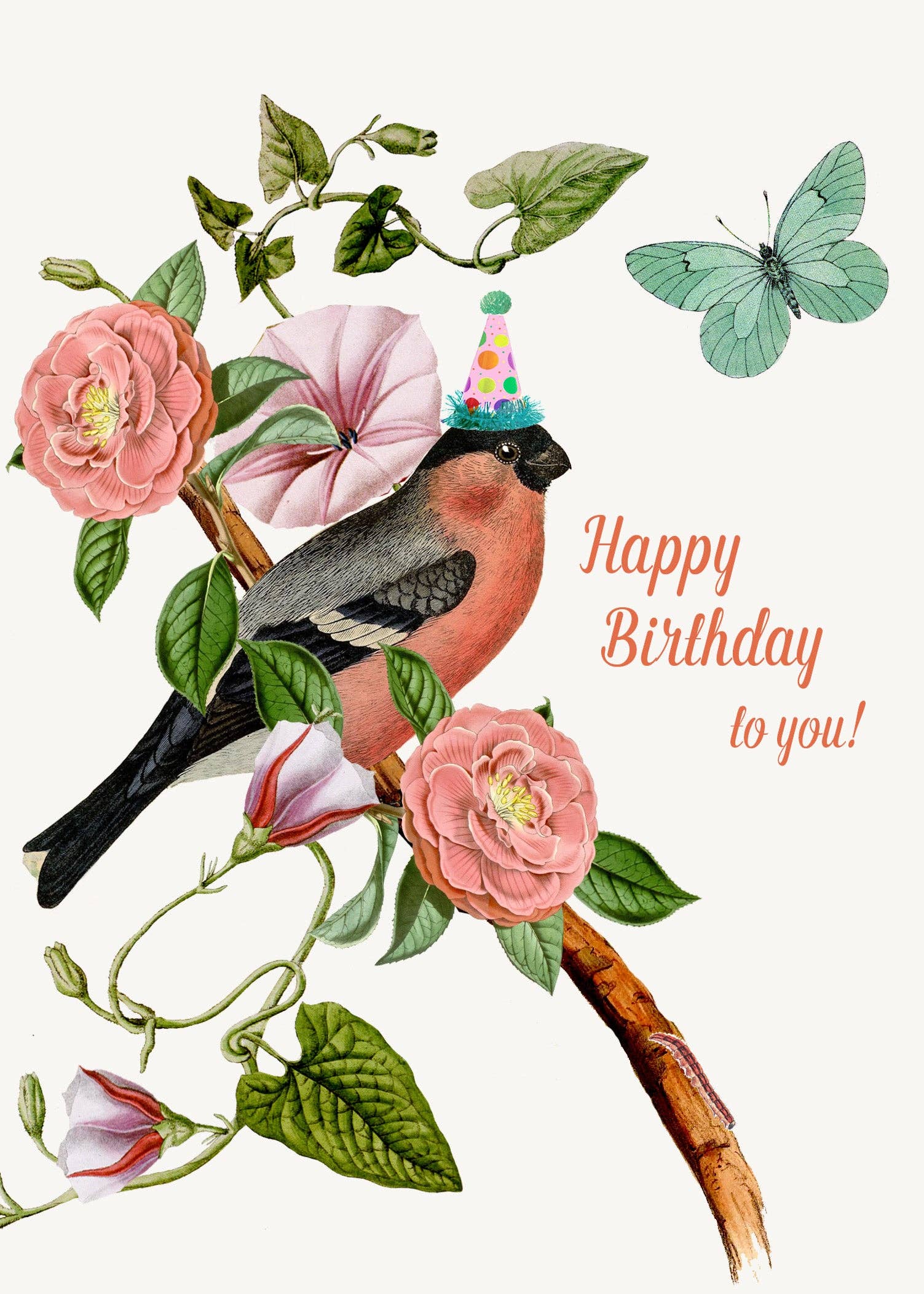 Wholesale Happy Birthday( Party Bird )• 5x7 Greeting Card for your