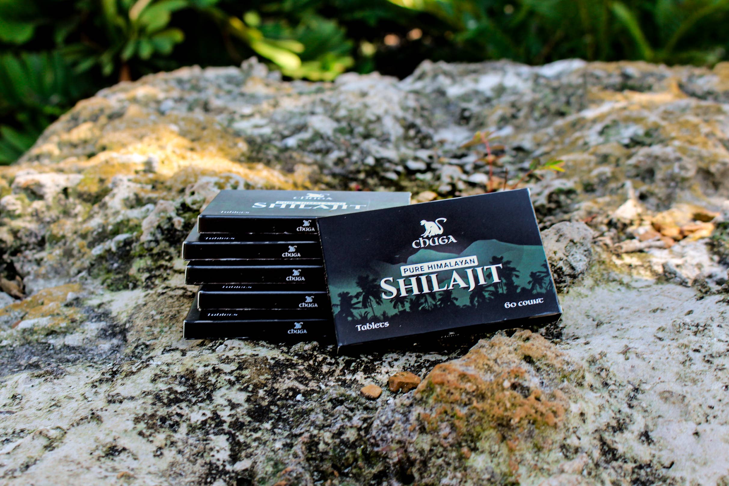 Chuga Shilajit – wholesale Oralt tillskott/Vitamin – Shilajit-tabletter1