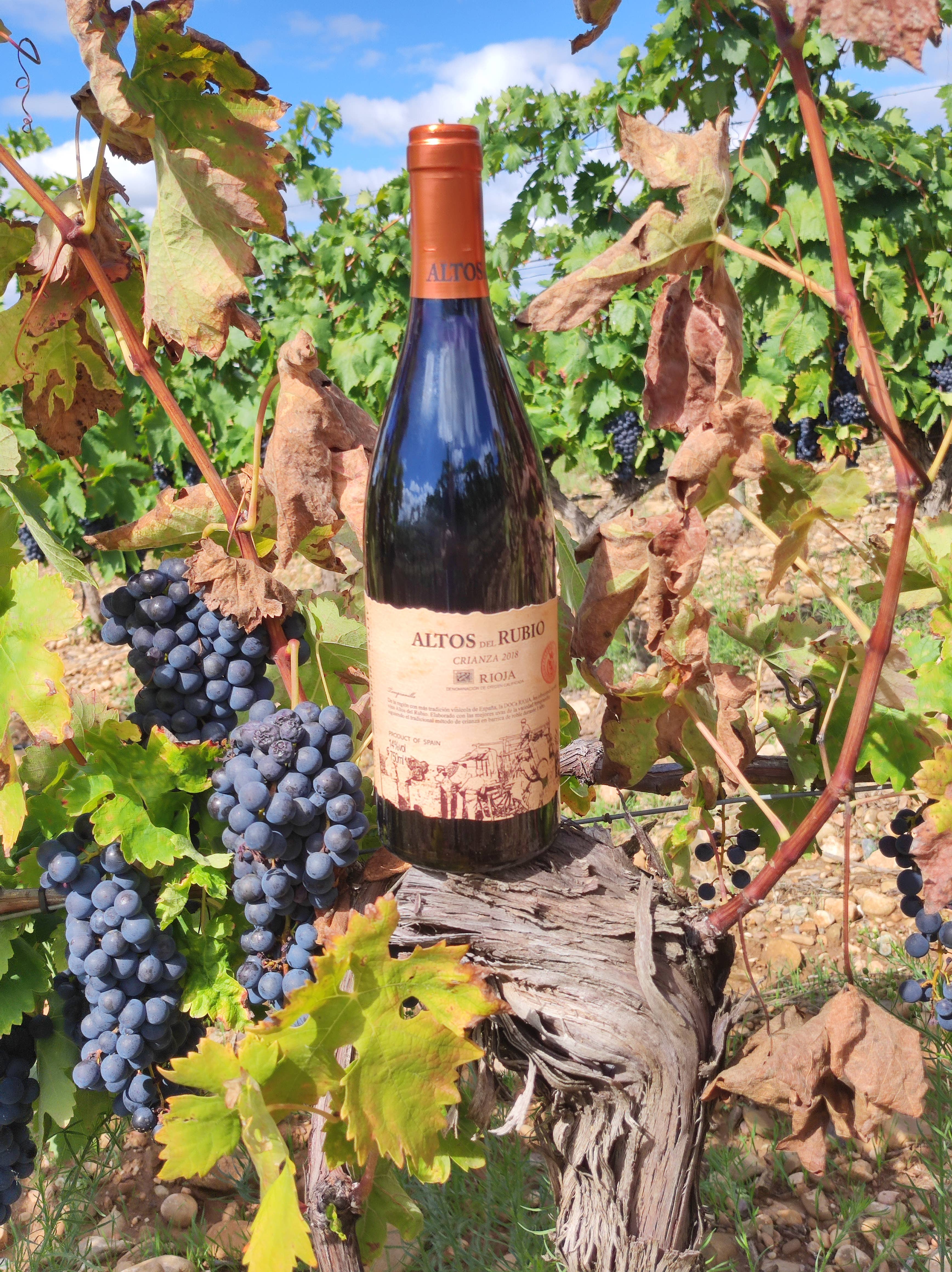 Viñedos y Bodegas Lyng – wholesale Rött vin – D.O.Ca. Crianza rödvin Rioja Altos del Rubio7