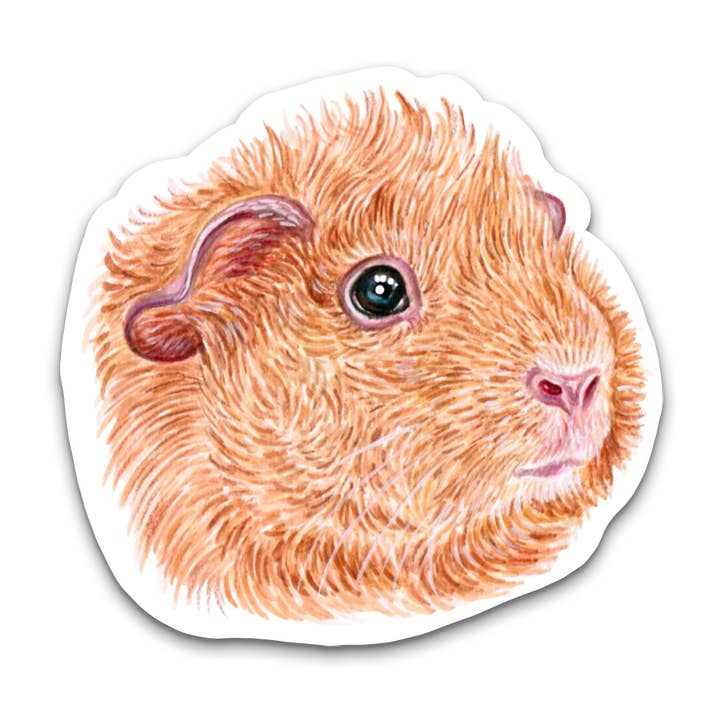 Sweet Humors - Wholesale Sticker - Buff Guinea Pig Face Vinyl Sticker0
