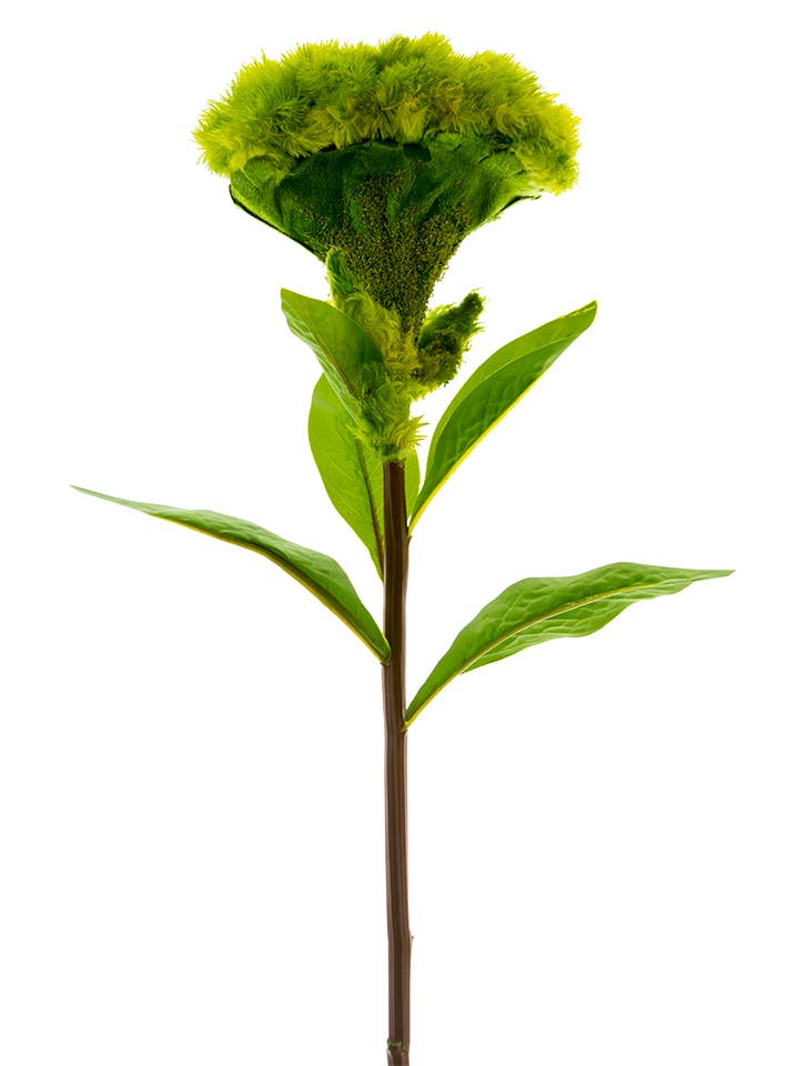 26" LARGE COCKSCOMB STEM for wholesale by American Best
