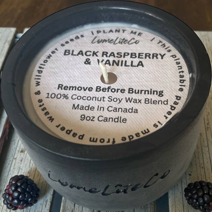 Black Raspberry & Vanilla | Lux Handmade 9oz Concrete Candle for wholesale by Lymeliteco
