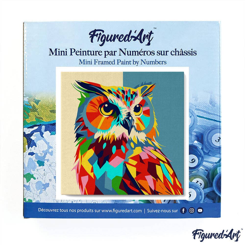 Figured'Art - Wholesale DIY Craft Kit - Mini Paint by numbers framed - Owl Abstract Pop Art2