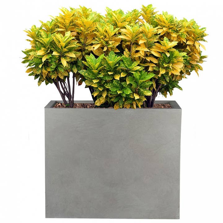 Idealist Lite Fibrestone Planters - Wholesale Planter Box - IDEALIST Raised Contemporary Light Concrete Trough Planter