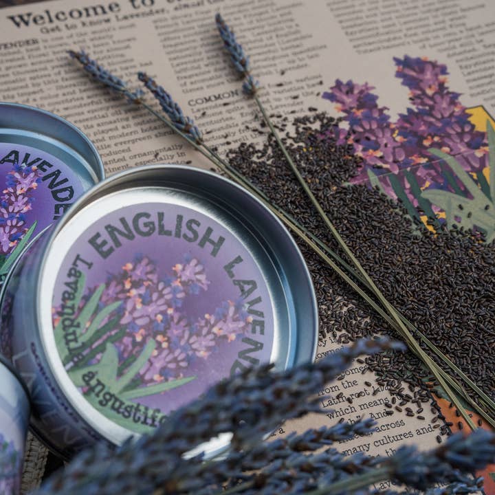 The Jonsteen Company - Wholesale Plant Seeds - Lavender | Flower Seed Grow Kit5