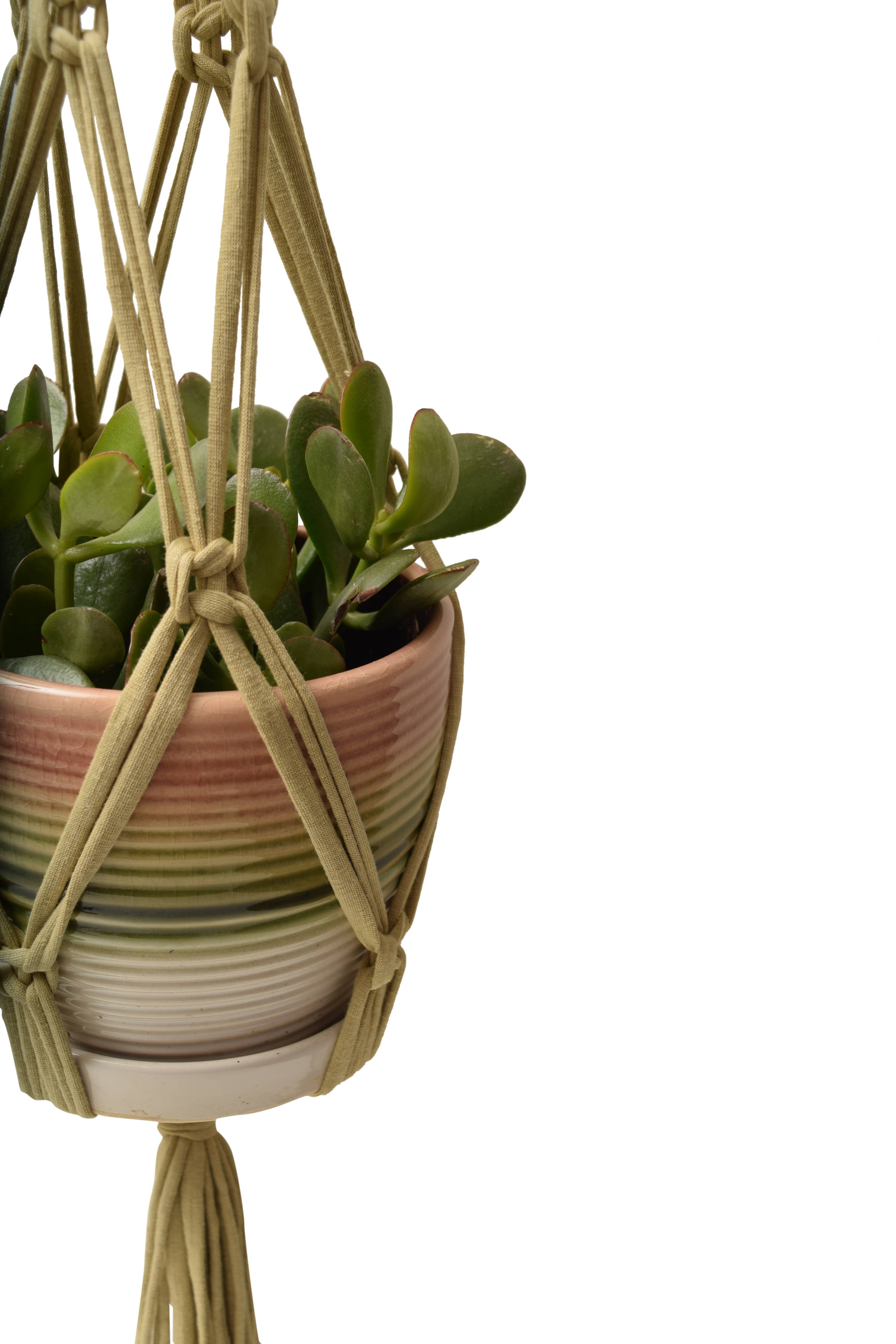 Shreds + rerope - Wholesale DIY Craft Kit - Eco DIY Macrame Plant Hanger Kit14