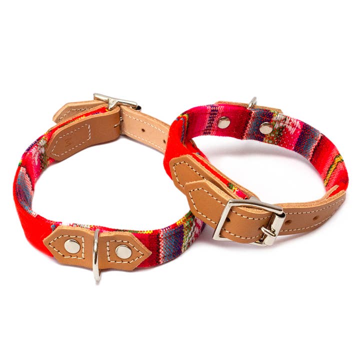 Hiro + Wolf - Wholesale Pet Collar - Dog - Inca Orange Dog Collar