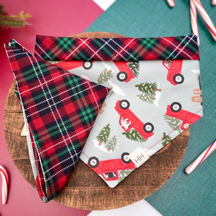 Bandana Pups Em Camiões por atacado de Hodge House